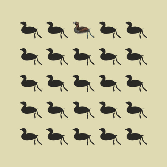 Poq - Digital Download